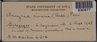 Image Associated With the Occurence